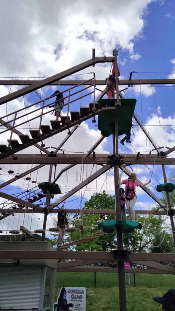 Toronto Zoo : Gorila Climb