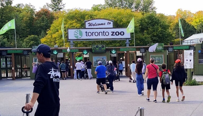 Toronto zoo