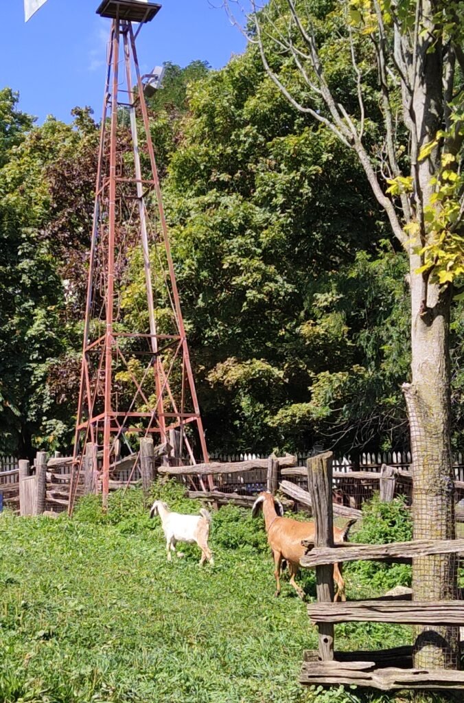 Riverdale Farm Toronto