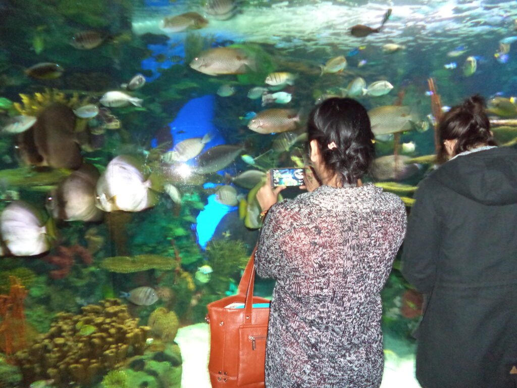 Ripley's Aquarium of Canada