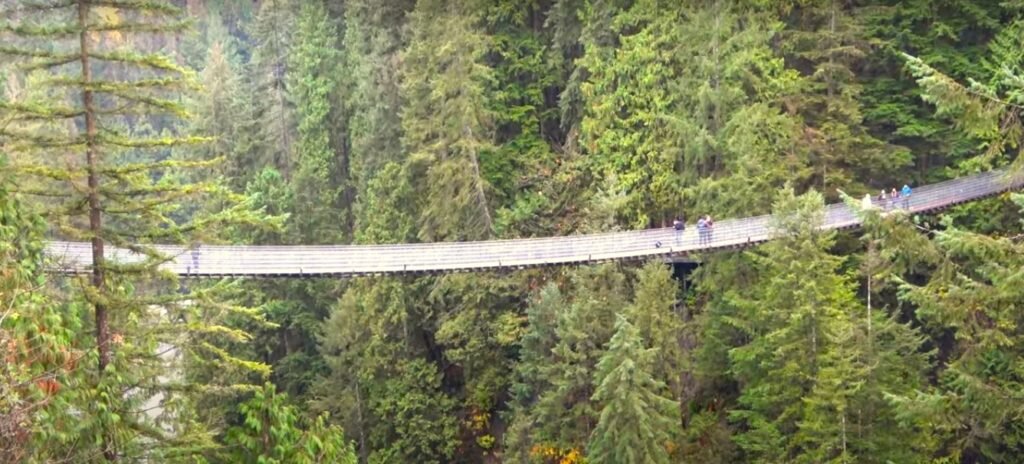 Capilano Suspension Bridge